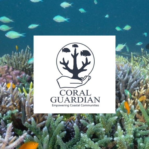 Zoom on Coral Guardian - SeventyOne