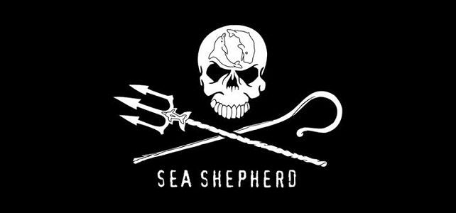Focus on Sea Shepherd